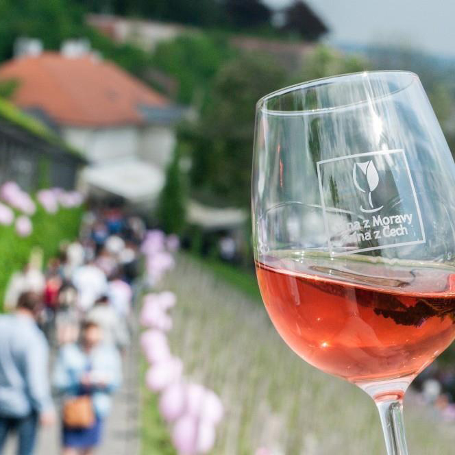 Svátek růžových vín - výzva vinařům