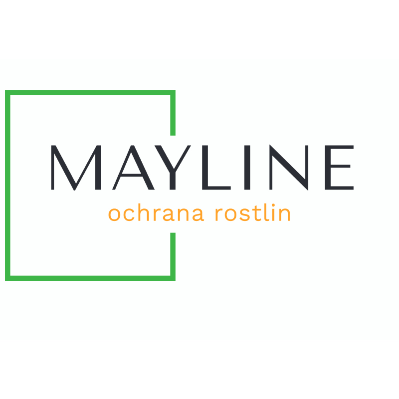 MAYLINE INVESTMENT CORPORATION LIMITED, s.r.o.